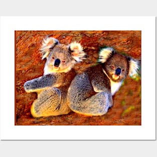 Koala Bear Cubs Posters and Art
